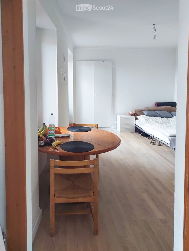 Appartement mit 1,5 Zimmern, Küche und Badezimmer (4)