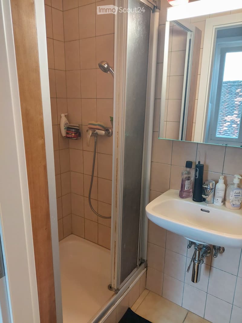 Appartement mit 1,5 Zimmern, Küche und Badezimmer (2)