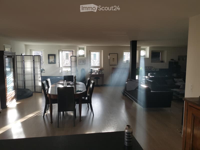 Lumineux loft de 140 m2 à louer (5)