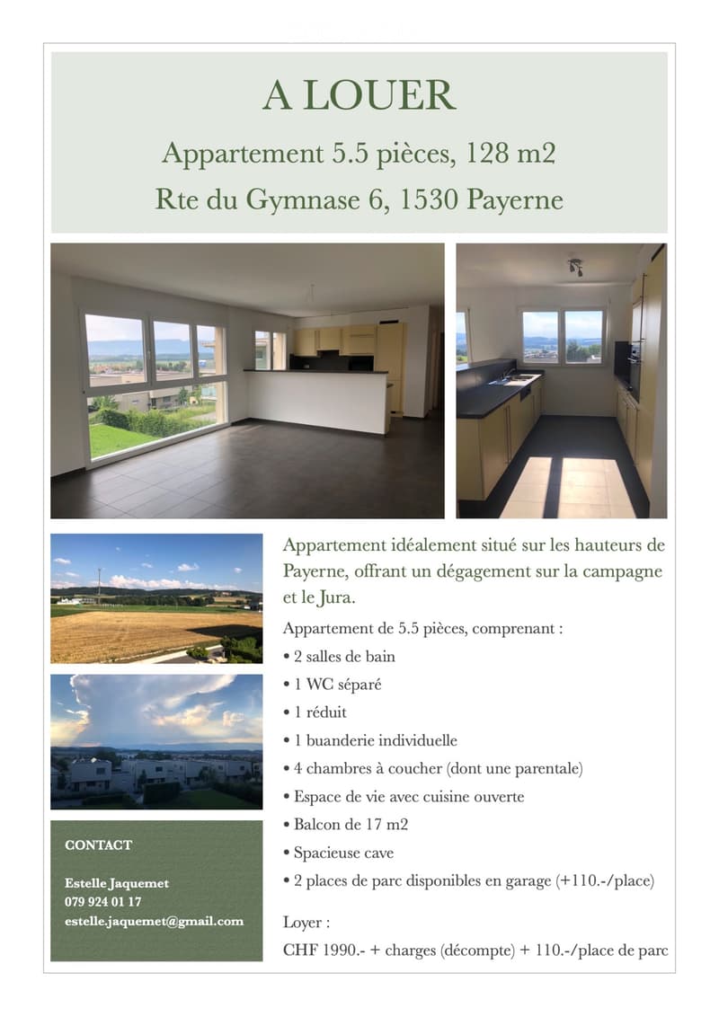 Geräumige 5,5-Zimmer-Wohnung mit großem Balkon und Aussicht (3)