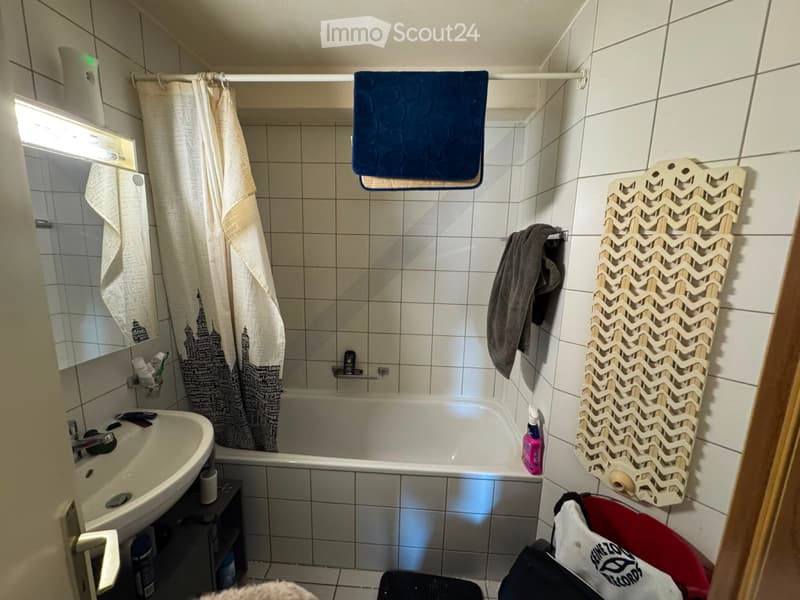 Zweieinhalb-Zimmer-Wohnung mit Balkon (5)
