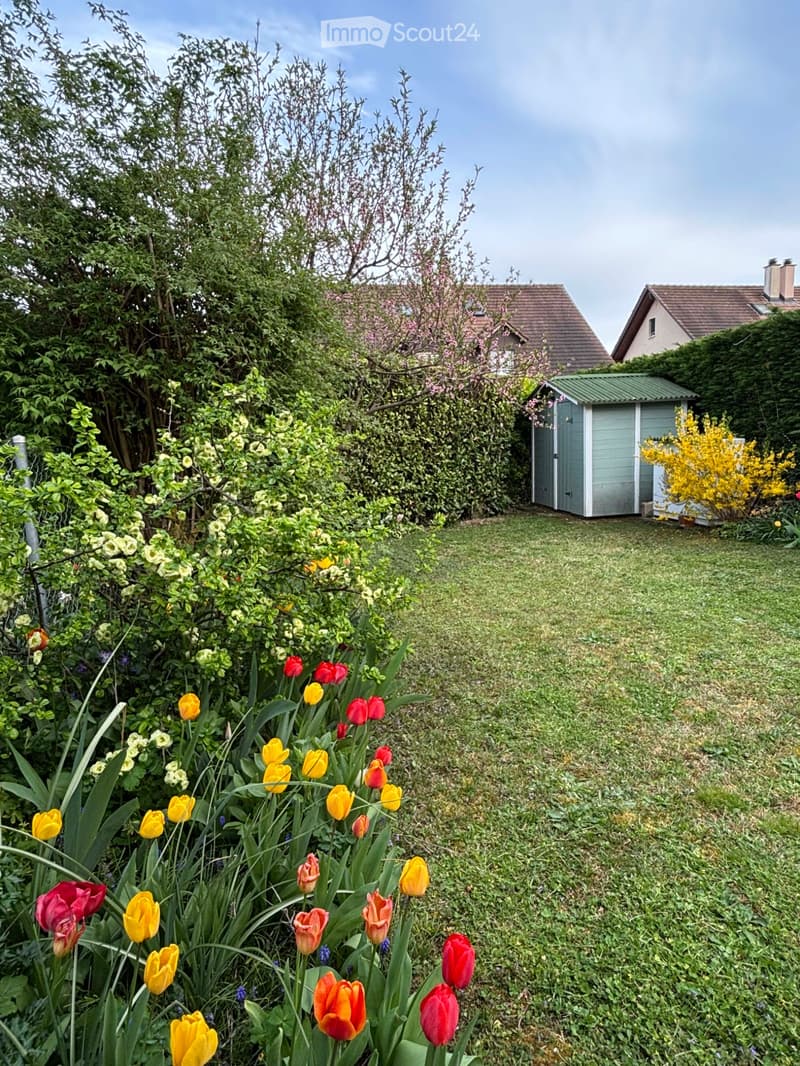 Maison jumelle rénovée à louer à Gland 4,5 pces + 1,5 pces (4)
