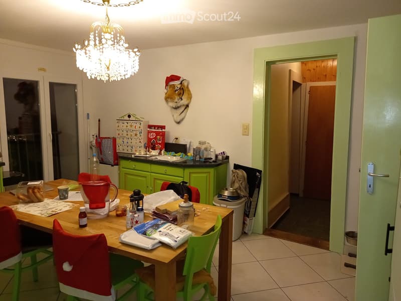Kleines Mietshaus zur Renovierung (1)