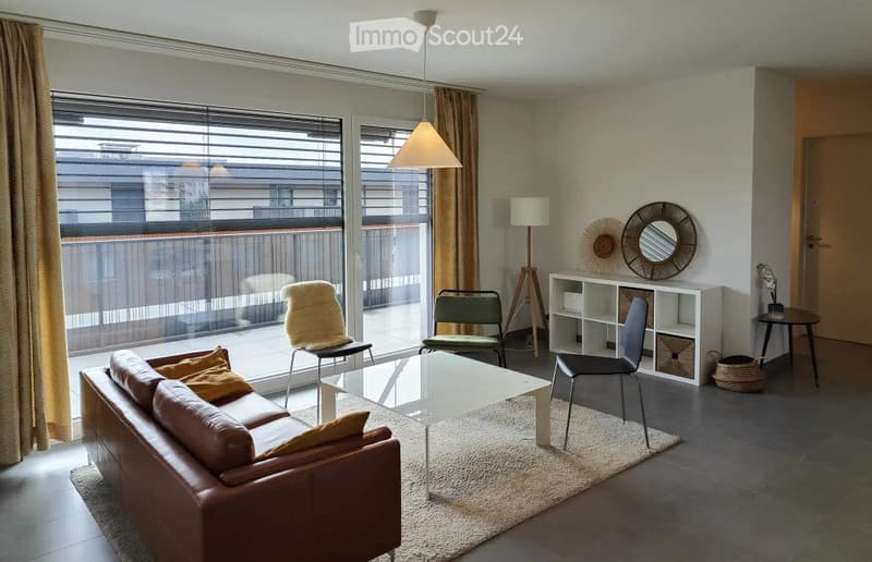 NYON Furnished room in beautiful shared apartment 130m2/4 rooms (1)