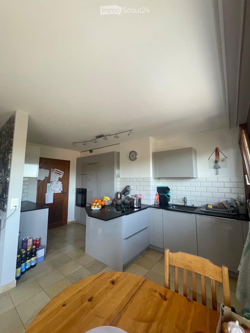 Prächtige Wohnung zur Miete (1)