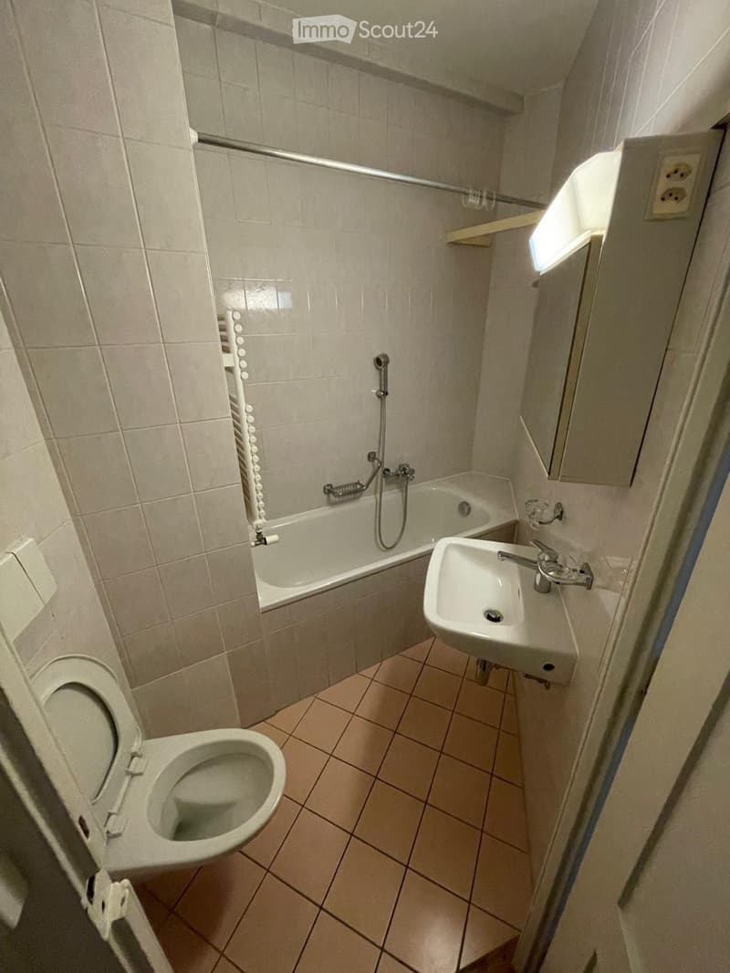 Reprise bail / Appartement 3.5 pcs Plainpalais (5)