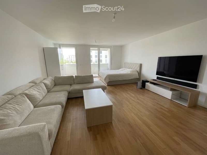 Studio zur Übernahme in Crissier (2)