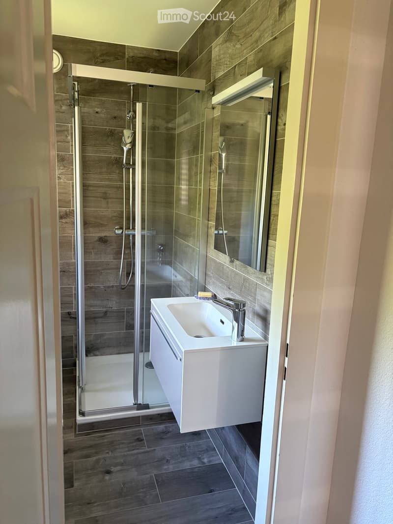 Charmanter Dachgeschoss-Wohnung mit 2 Zimmern (4)