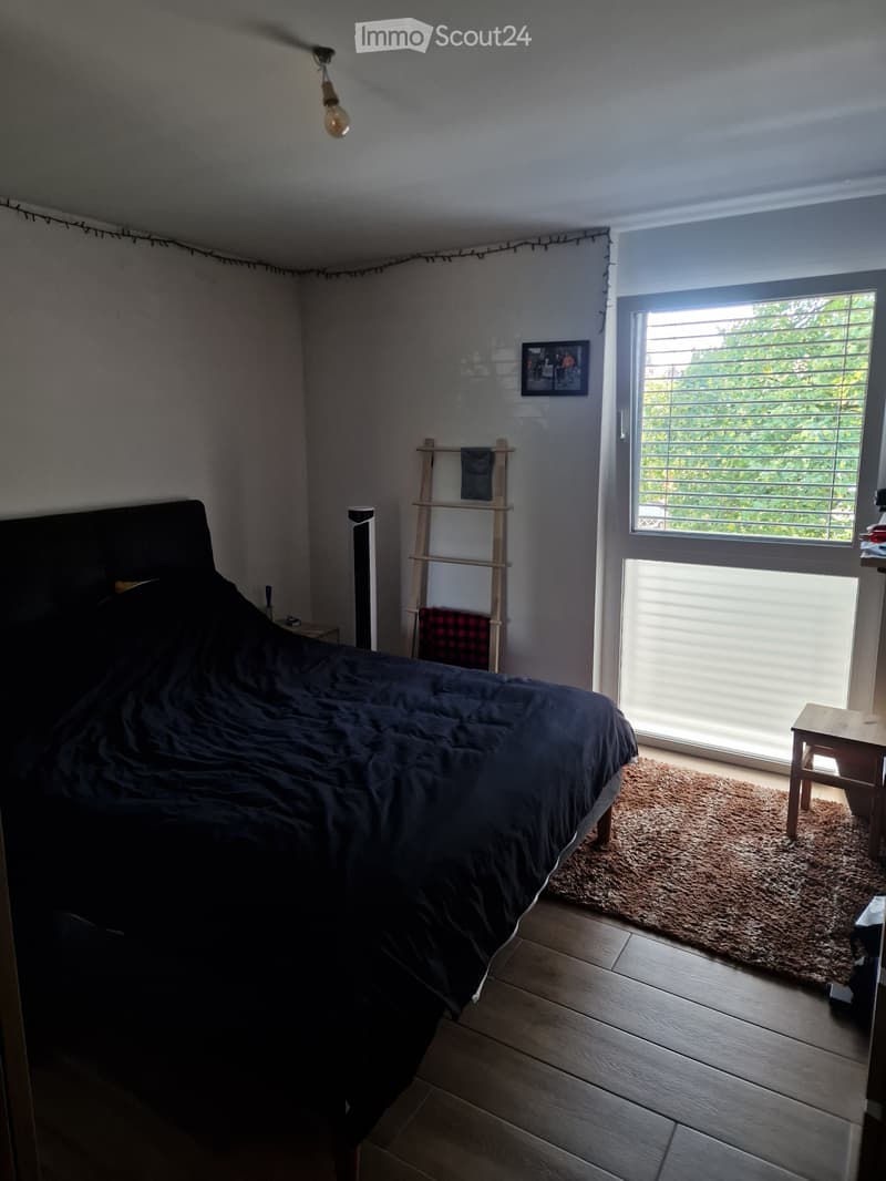 Wohnung 4.5 Zimmer (5)