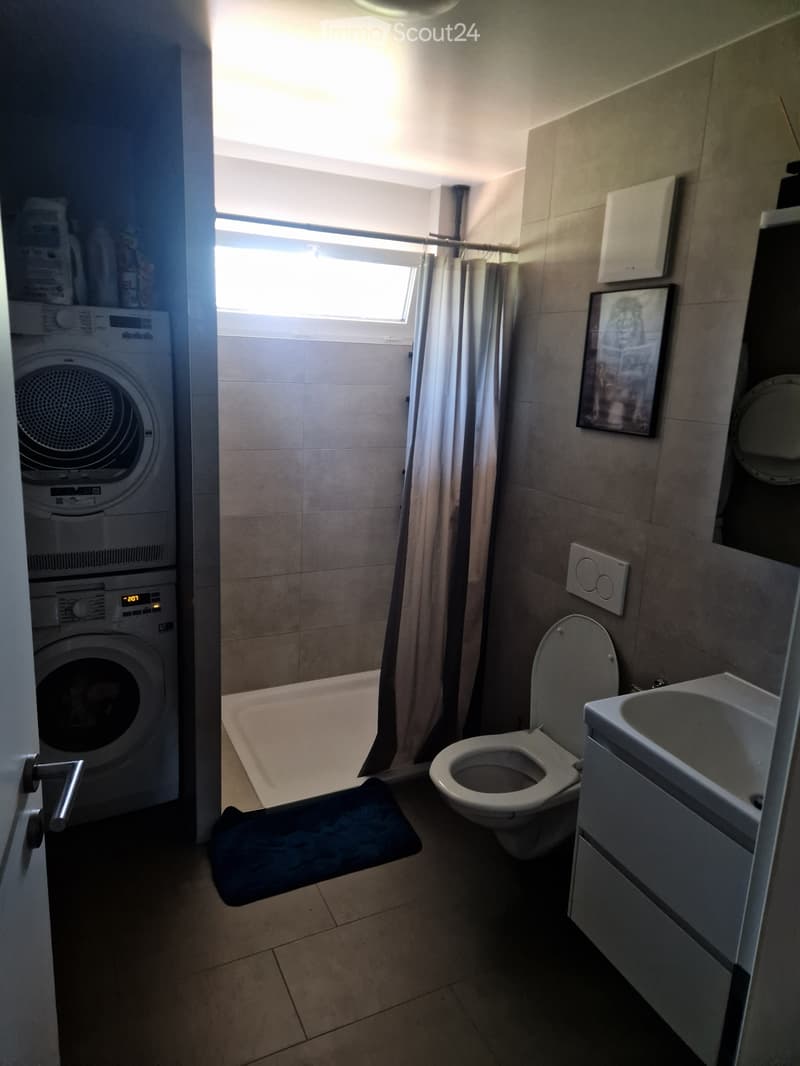 Wohnung 4.5 Zimmer (4)