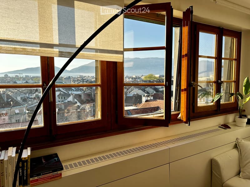 Untervermietung - Charmantes 1,5-Zimmer-Apartment möbliert - Altstadt (2)
