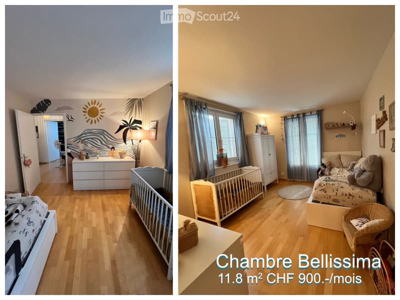 3 Zimmer in einer Wohngemeinschaft in einer Villa in Bellevue (2)