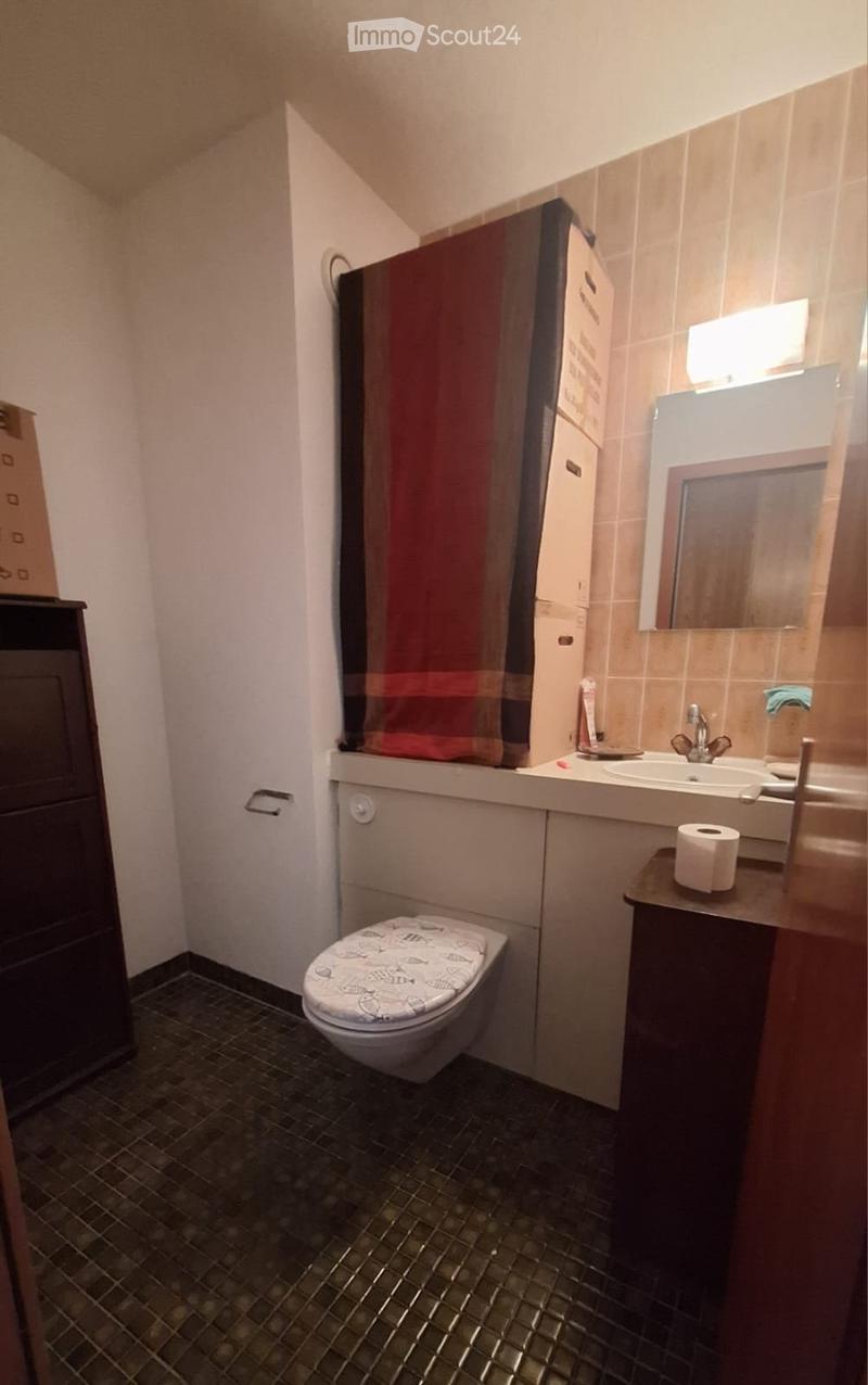 Charming 4-room apartment for rent in quiet and green neighborhood (5)