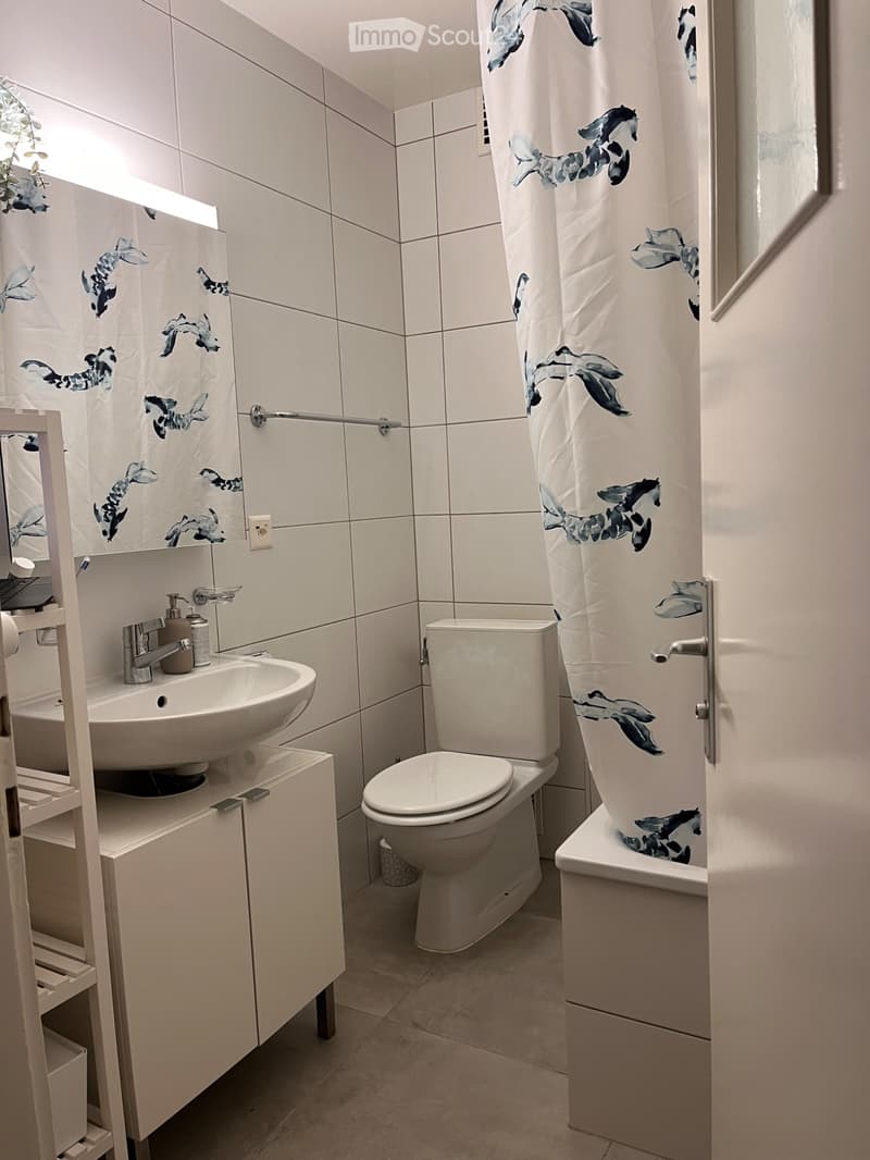 Wohnung 3 Zimmer zur Miete ab 15.08.2026 (3)