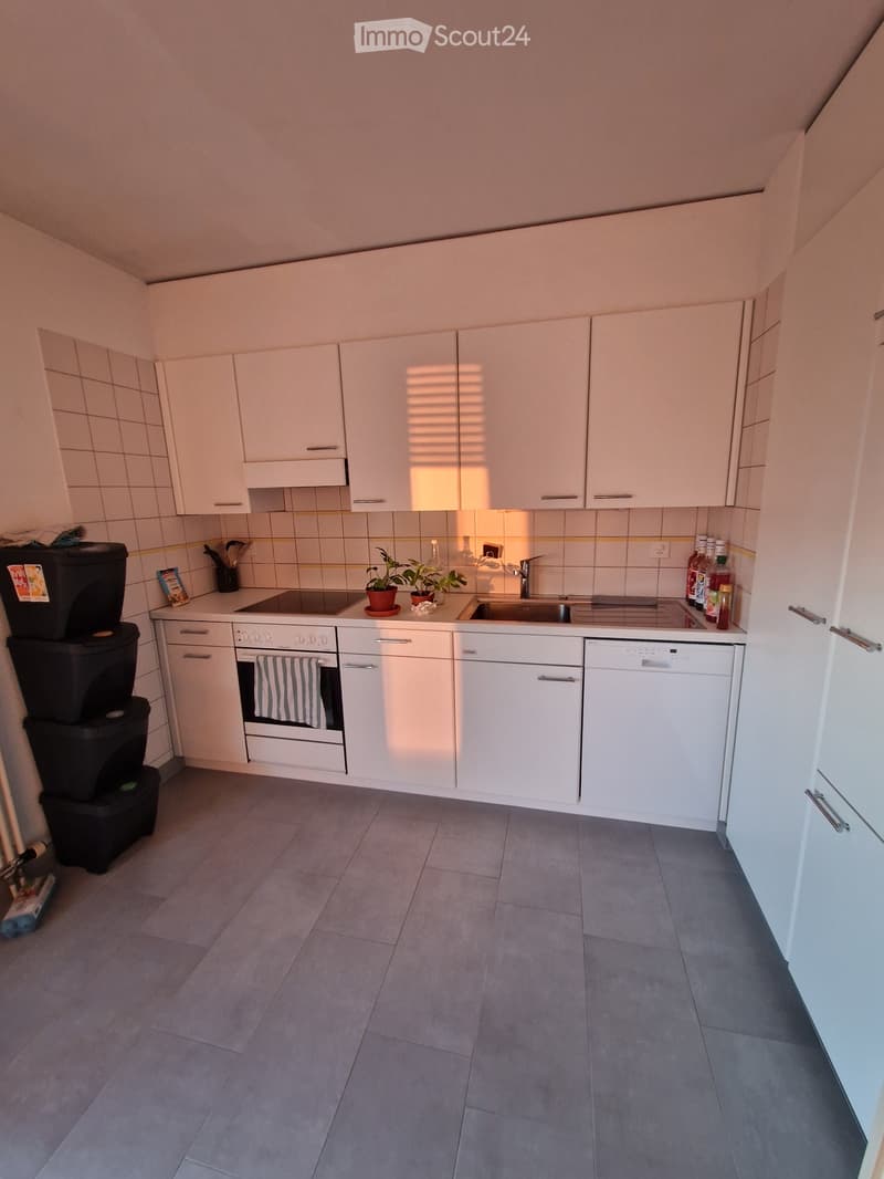 Apartment 3,5 (4)