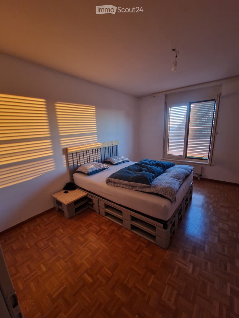 Apartment 3,5 (5)