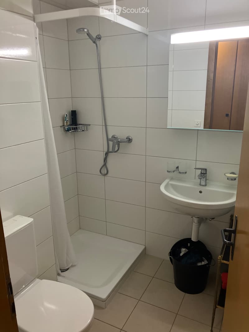 Übergabe des Mietvertrags für ein modernes Studio in Sion (3)