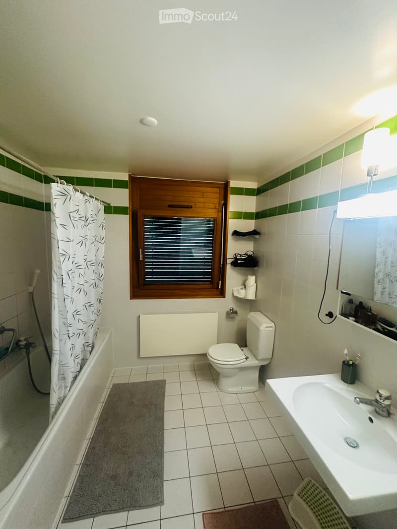Dringend Wohnung zu vermieten (5)