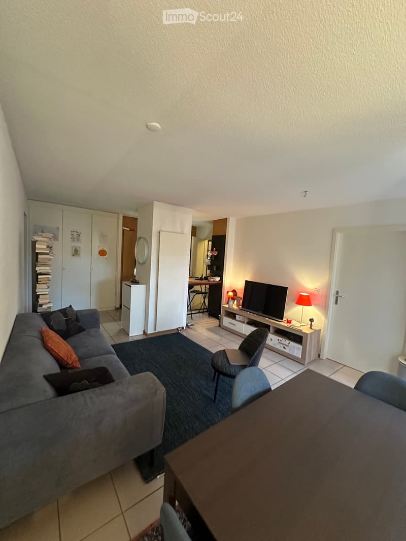 Dringend Wohnung zu vermieten (3)