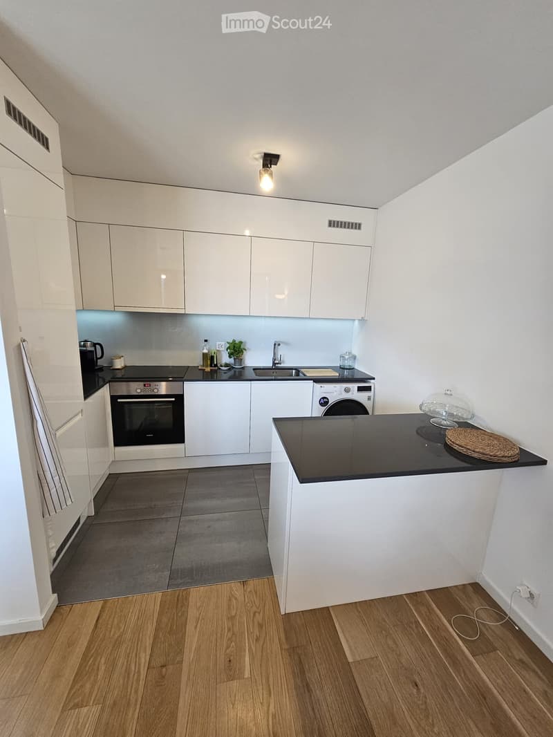 Location apartment Meyrin (2)