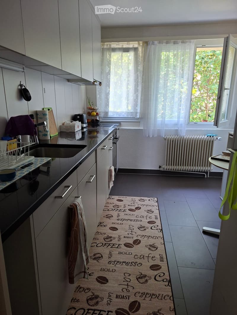 In affitto appartamento di 3.5 locali nel quartiere del Jura (4)