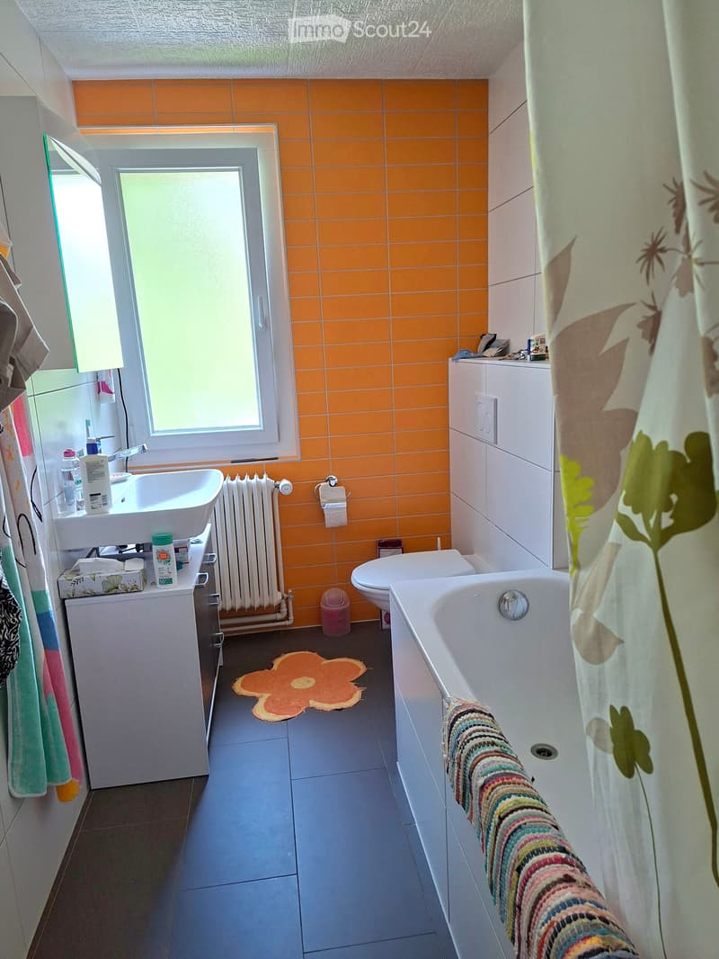 In affitto appartamento di 3.5 locali nel quartiere del Jura (3)