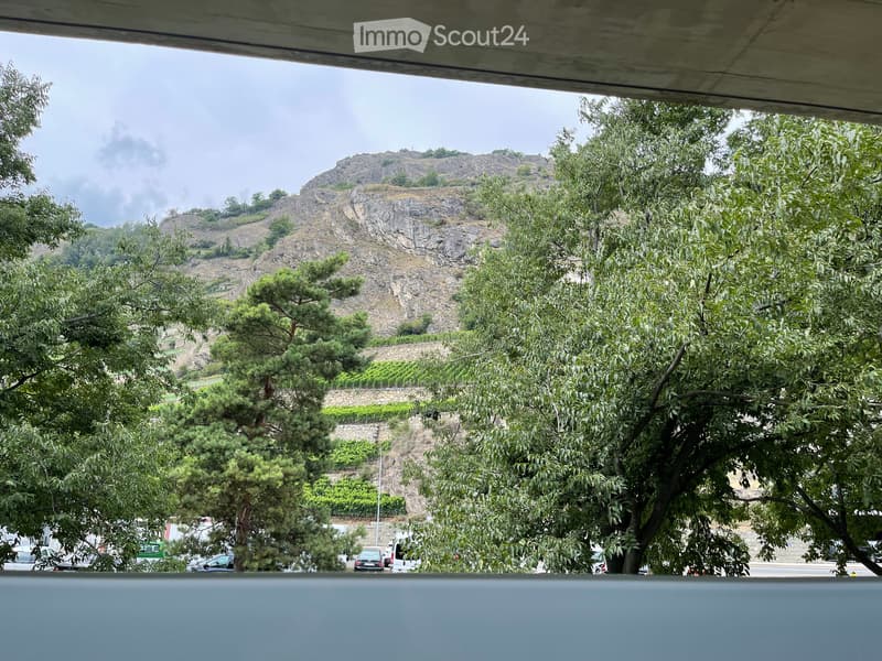 In affitto Grande monolocale nella città di Sion (5)