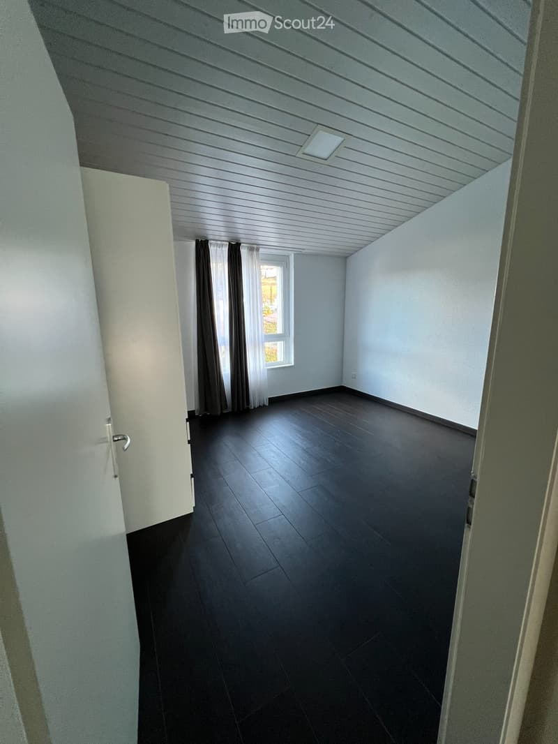 Apartment 4.5 close to the baths (5)