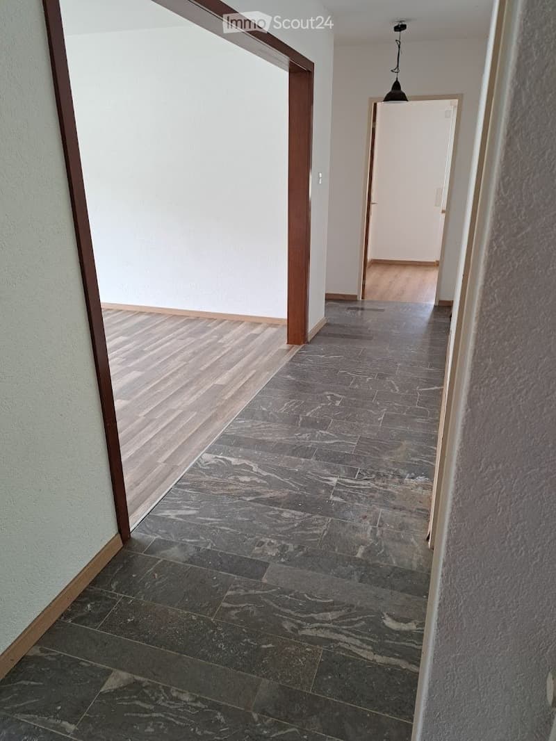 For rent, charming 3.5-room apartment (5)