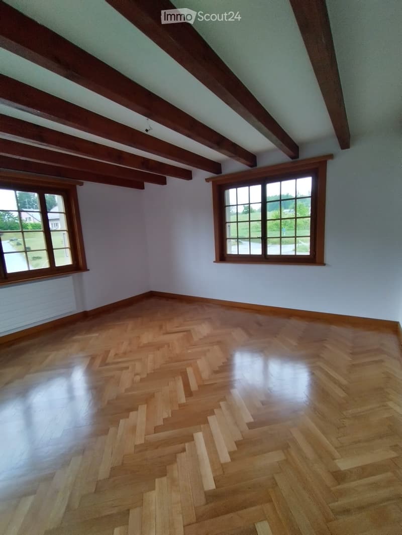 Großes Duplex mit Charme in einer renovierten alten Farm (4)