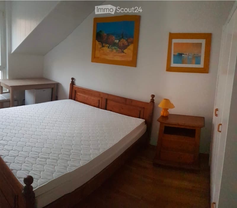 Lumineuse chambre avec lit double (1)