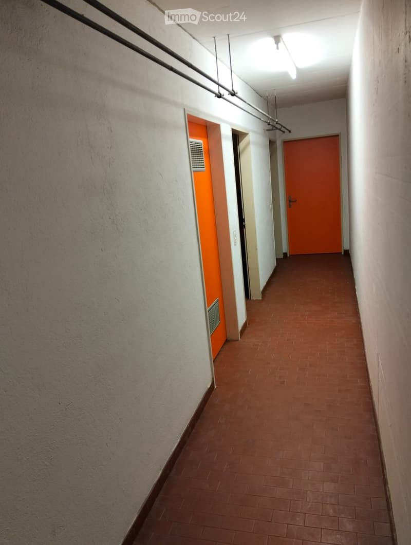Lugano, warehouse for rent, hobby room, laboratory (5)