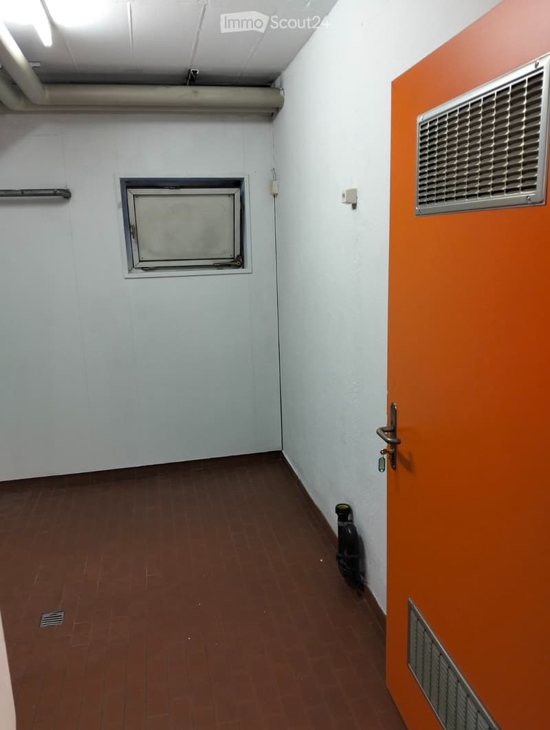 Lugano, warehouse for rent, hobby room, laboratory (4)