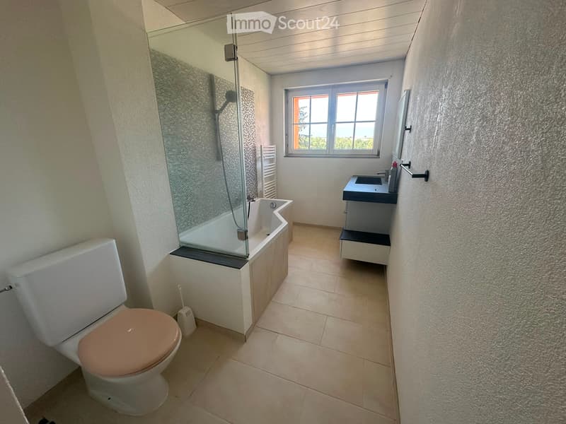 Große helle Wohnung (2)