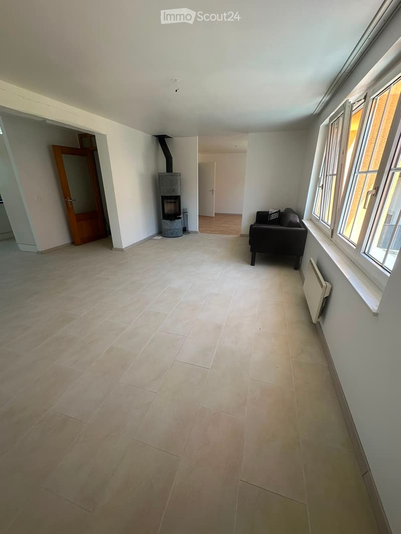 Große helle Wohnung (4)