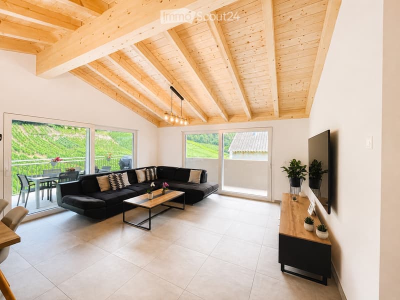 Magnificent apartment with large terrace (1)
