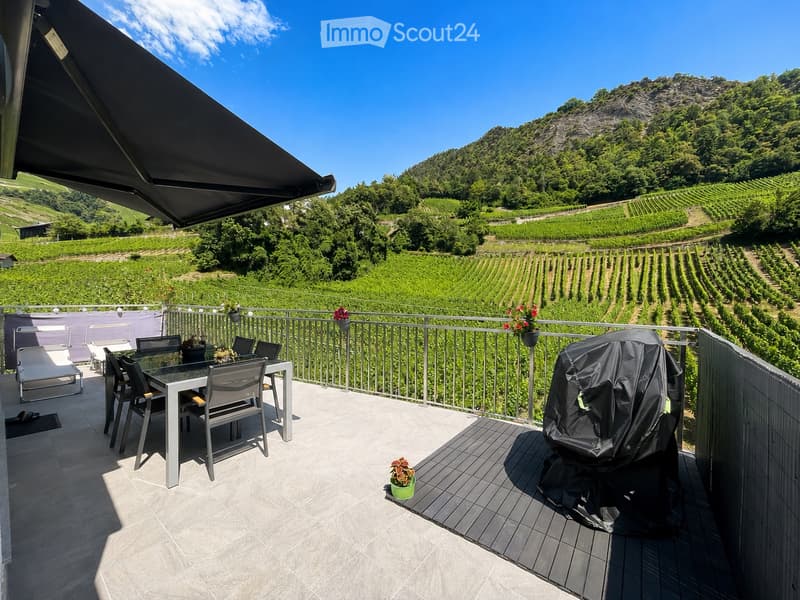 Magnificent apartment with large terrace (5)