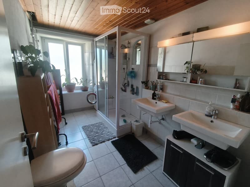 grand appartement 5,5 pièces (4)
