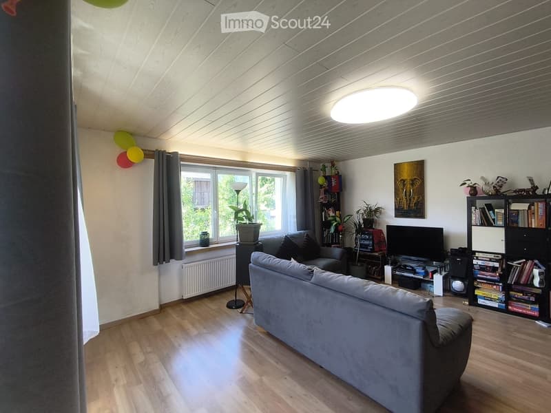 grand appartement 5,5 pièces (2)