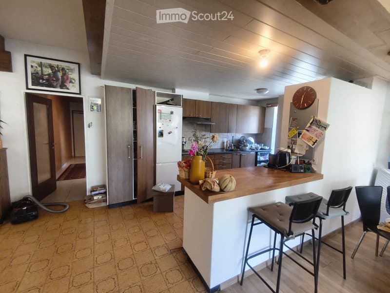 grand appartement 5,5 pièces (3)
