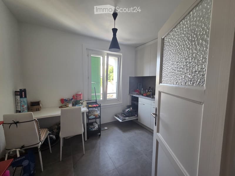 Neuchâtel apartment (3)