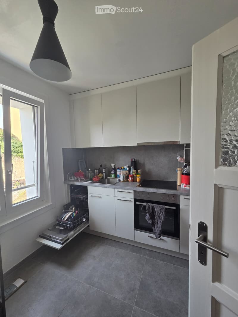 Neuchâtel apartment (2)