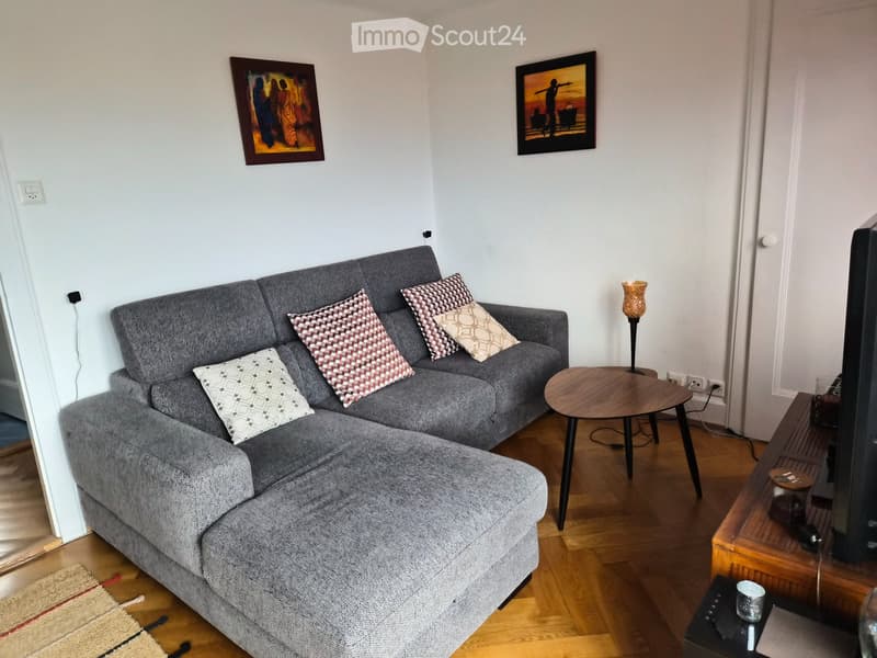 Superbe 2,5 pièces meublé avec terrasse  Lausanne Mon Repos (3)