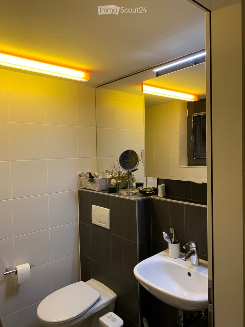 LOFT proche du lac (3)