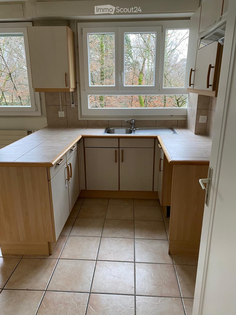 For rent 5.5 rooms in Chêne-Bougeries (3)