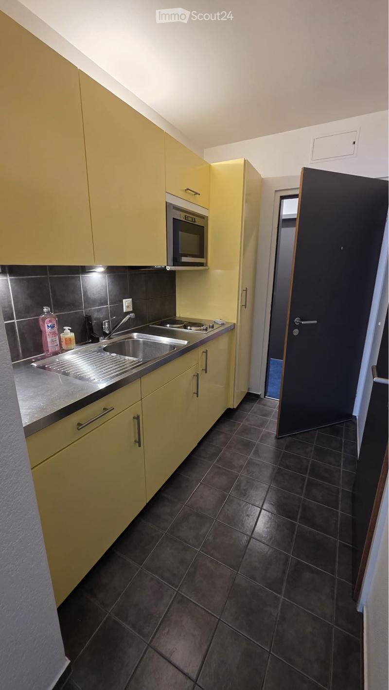 Location Student Apartment Lausanne (3)