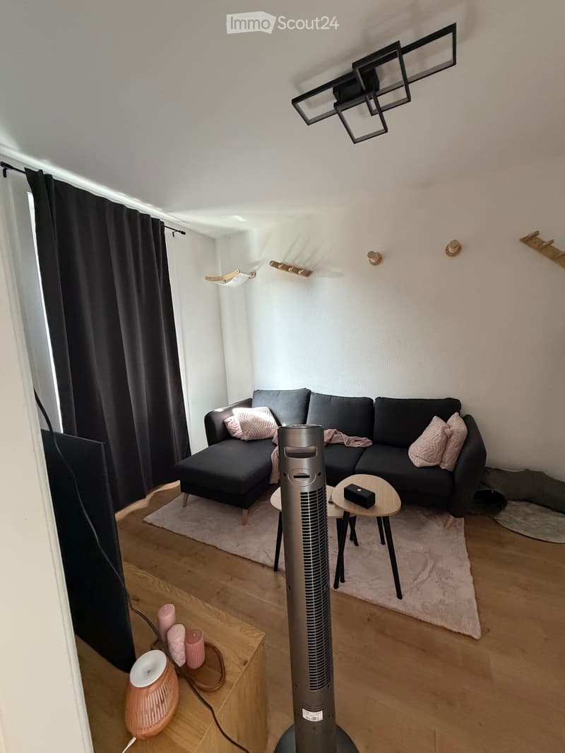 Apartment 3.5 rooms for rent (3)