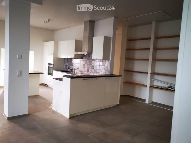 Apartment 4.5 rooms with 133 m² garden and garage (3)
