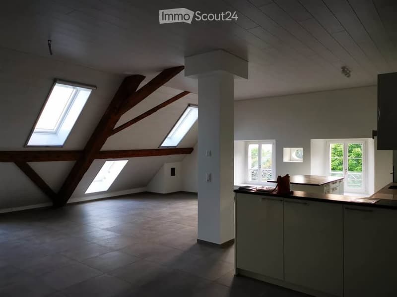 Apartment 4.5 rooms with 133 m² garden and garage (2)