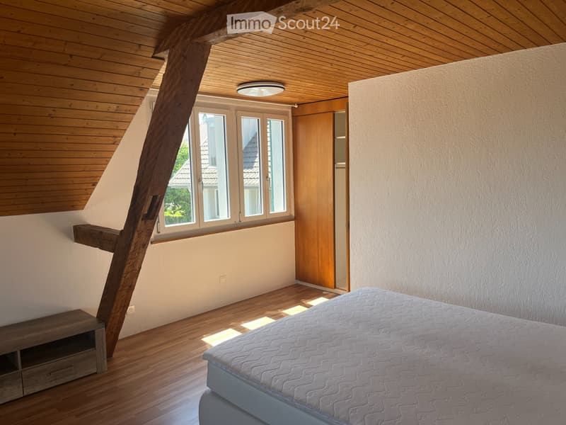 Cozy 2.5 room apartment in Oberdorf SO (2)
